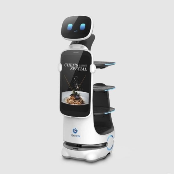 KEENON Dinerbot T10